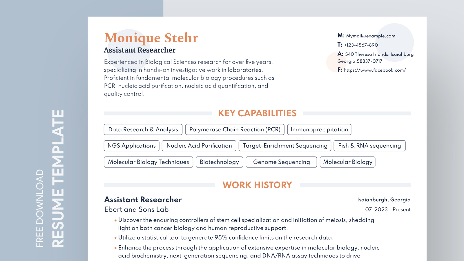 Basic Resume Free Google Docs Template Gdoc Io