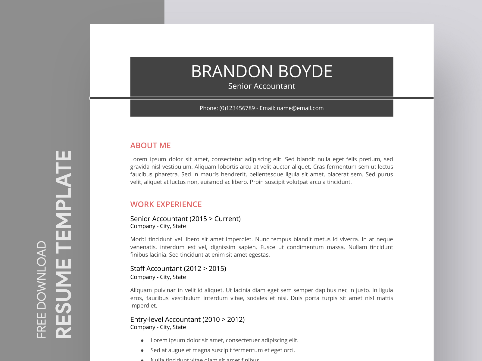 Professional Resume For Corporate Jobs