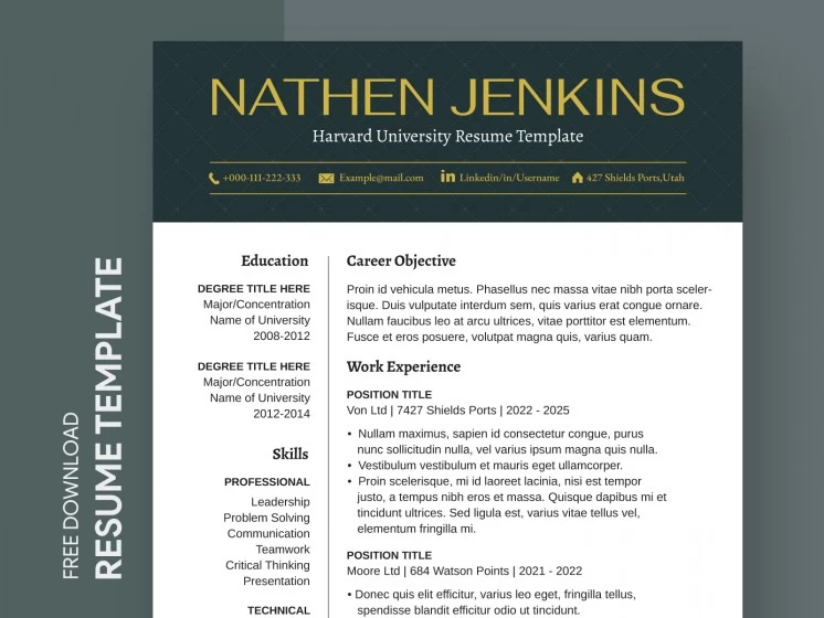 resume samples free download word        <h3 class=
