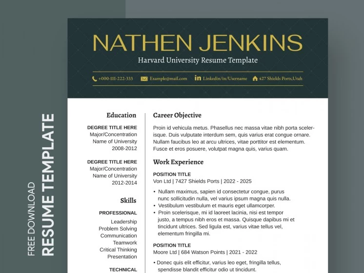 2024 Resume Samples Ayn Karine   Harvard University Resume P1 746x560.webp