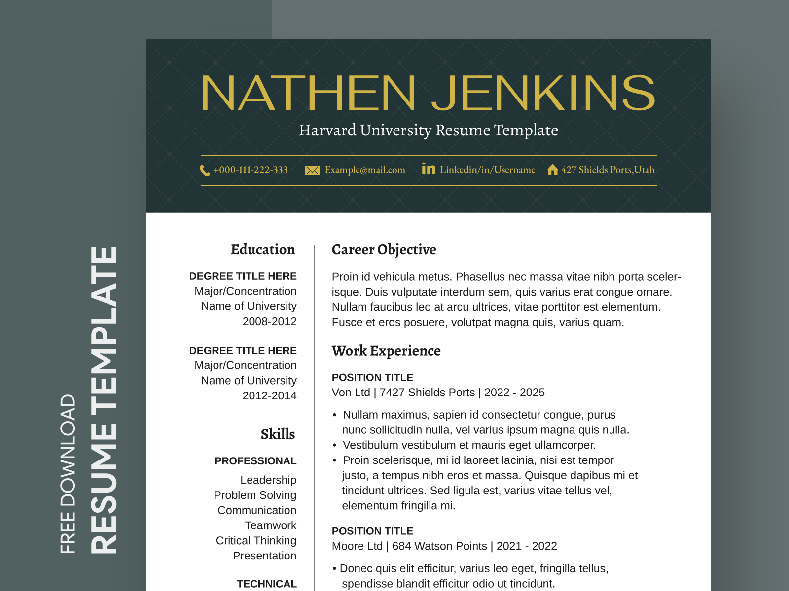 Free High School Resume Google Docs Templates 