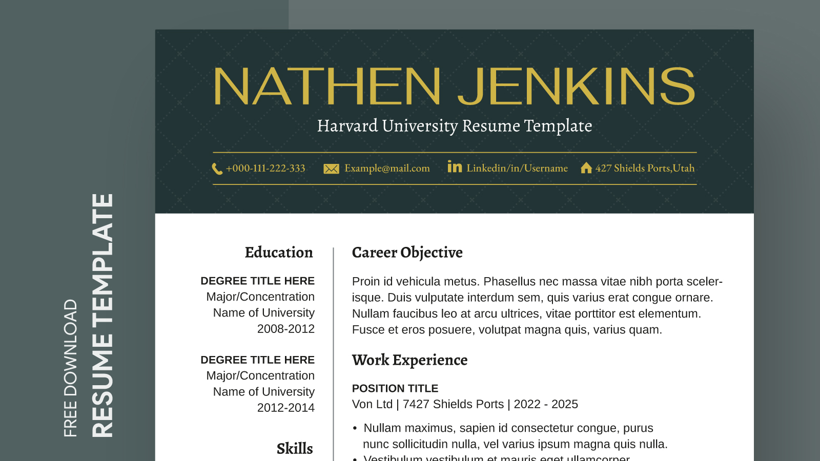 resume template free harvard