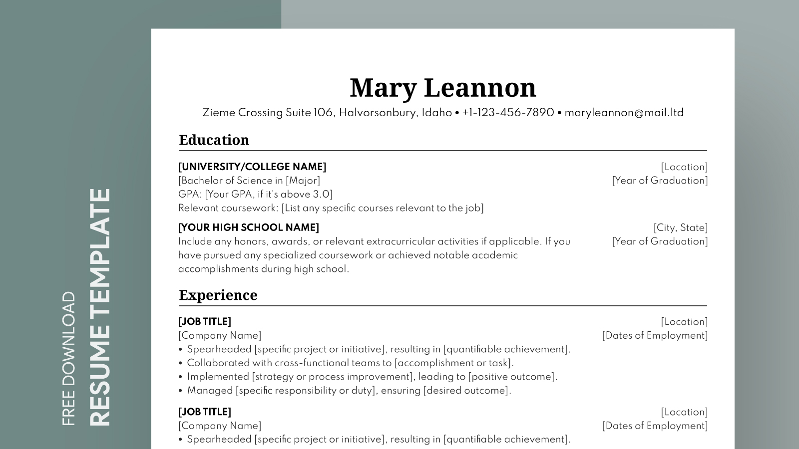 Classic Resume Free Google Docs Template   gdoc.io